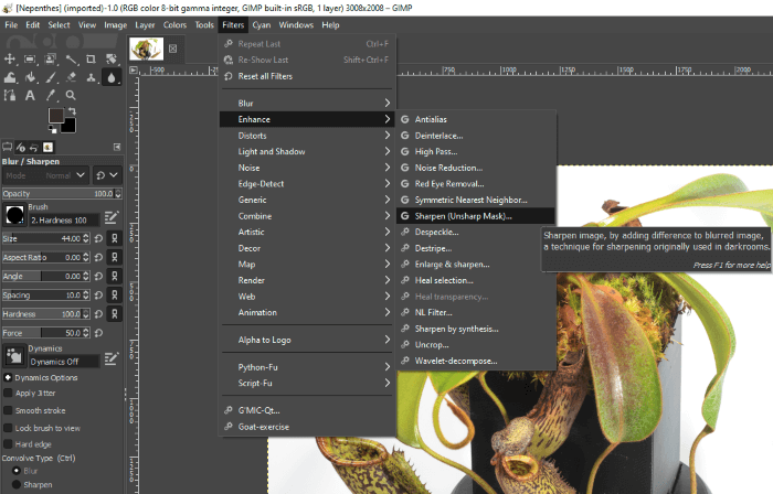 gimp sharpen photo